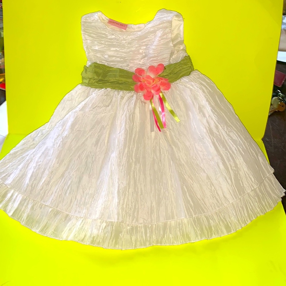 Heart works 12 m baby dress